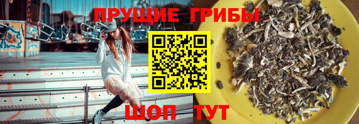 Псилоцибиновые грибы мицелий  Вход с VPN  Тайшет 
